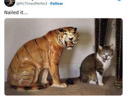 Deretan Foto Diambil di Waktu Tepat, Tak Cukup Dilihat Sekali