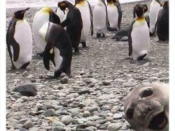 Deretan Foto Diambil di Waktu Tepat, Tak Cukup Dilihat Sekali