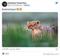 Foto yang diambil waktu yang tepat