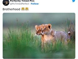 Deretan Foto Diambil di Waktu Tepat, Tak Cukup Dilihat Sekali