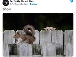 Deretan Foto Diambil di Waktu Tepat, Tak Cukup Dilihat Sekali