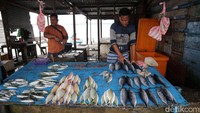 Ikan Lemar dijual dengan Rp 20 ribu/paket dan ikan moma Rp 25 ribu. Ada juga ikan kerapu besar dijual dengan harga Rp 100 ribu.