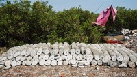 Batu yang sudah kering ini kemudian ditata dengan rapi sehingga dapat dijual kepada nelayan-nelayan yang membutuhkan.