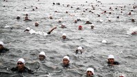 Salah satunya di Pantai Mutiara, Pluit, Jakarta Utara, Rabu (5/10/2022).