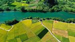 Lanskap Persawahan di China Ini Indah Banget Gaes
