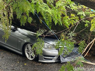 Penampakan Pohon Tua Timpa Mobil Mercy di Bandung