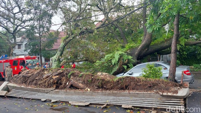 Pohon tumbang timpa mobil di Bandung.