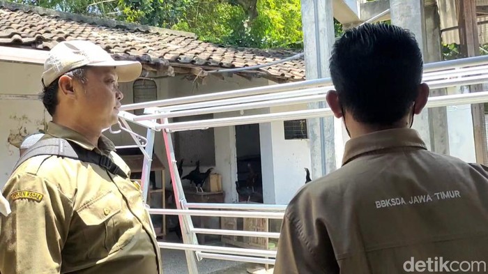 Tim BKSDA Kediri mulai melakukan analisis untuk menangkap monyet liar di rumah warga