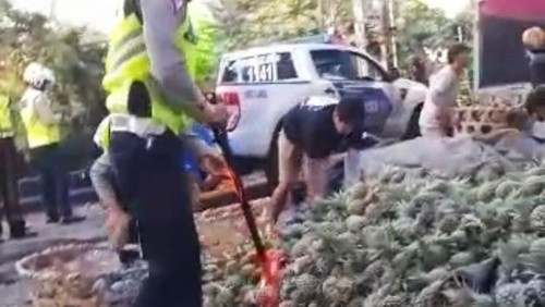 Truk angkut nanas terguling hingga buahnya berserakan di Jalan Udayana, Jalur Denpasar - Gilimanuk, Kelurahan Baler Bale Agung, Kecamatan Negara, Kabupaten Jembrana, Bali, Rabu (5/10/2022).