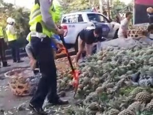 Sopir Ngantuk, Truk Angkut Nanas Terguling di Jembrana