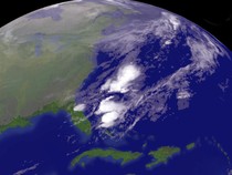 Dunia Tersembunyi di Dasar Samudra Pasifik