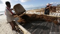 detikcom bersama BRI mengadakan program Tapal Batas yang mengulas perkembangan ekonomi, infrastruktur, hingga wisata di beberapa wilayah terdepan Indonesia. Untuk mengetahui informasi dari program ini ikuti terus berita tentang Tapal Batas di tapalbatas.detik.com