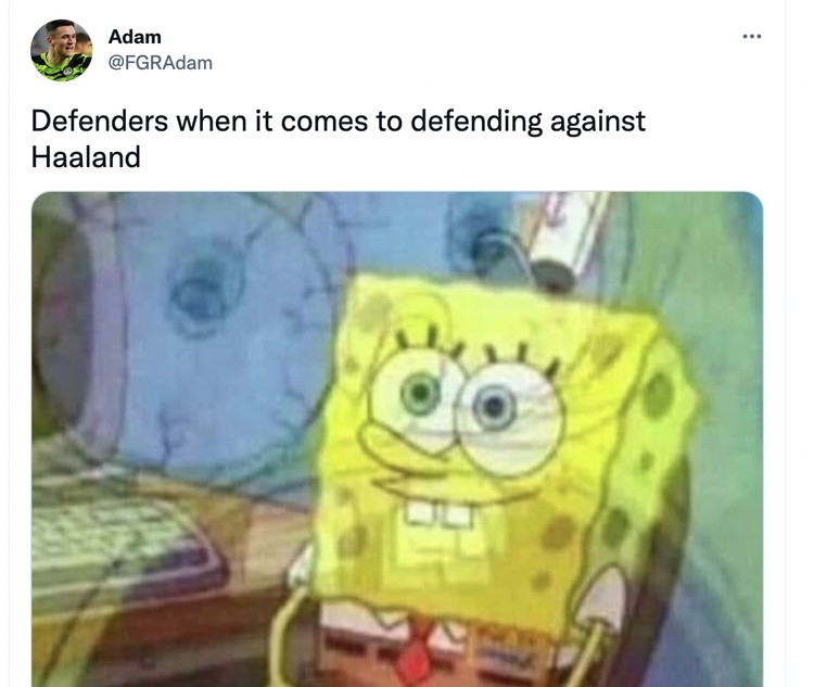 Meme Haaland Meme Haaland