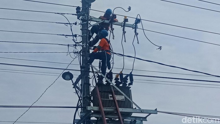Petugas melakukan perawatan jaringan listrik.