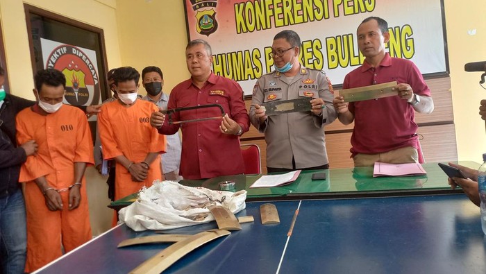 Polres Buleleng merilis kasus pencurian seperangkat gamelan di Desa Tamblang, Kecamatan Kubutambahan, Kabupaten Buleleng, Bali, Kamis (6/10/2022).