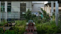 Ruang tunggu para penumpang, kini terlihat seperti kebun yang dipenuhi oleh tanaman. Karena pembatasan ketat yang sedang berlangsung di Beijing, membuat pengunjung China daratan menjauh dan terminal menjadi sepi terbengkalai.