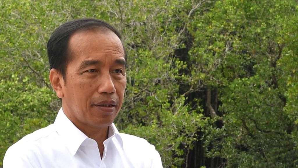 Jokowi Tinjau Tahura Ngurah Rai Jelang G20: Saya Surprised