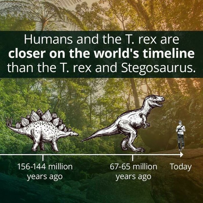 Timeline mencengangkan