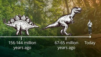  Manusia dan T-Rex lebih dekat timelinenya ketimbang T-Rex dengan Stegosaurus Foto: Reddit via Boredpanda