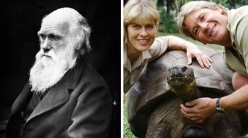 Kura-kura Harries yang meninggal pada 2006 pernah bertemu dengan Charles Darwin.  Foto: Reddit via Boredpanda