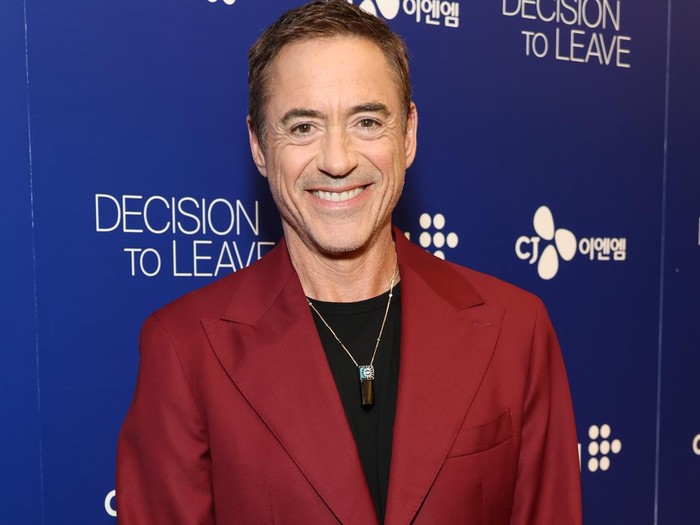 1431200396 LOS ANGELES, CALIFORNIA - OCTOBER 06: Robert John Downey Jr. attends the Los Angeles Premiere Of Decision To Leave at Linwood Dunn Theater on October 06, 2022 in Los Angeles, California. (Photo by Amy Sussman/Getty Images)