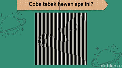 Bisa Temukan Objek Tersembunyi? Sehari-hari Ketemu, Pasti Tahu Lah
