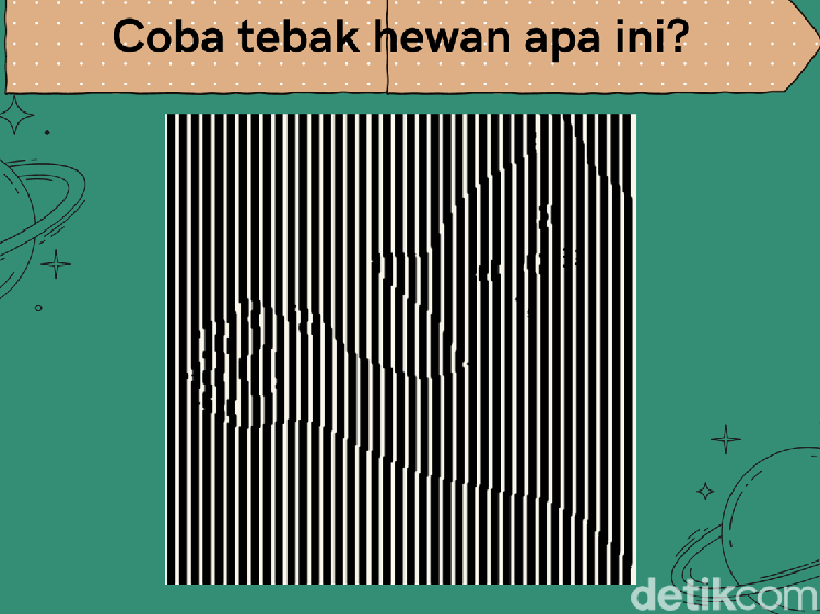 Bisa Temukan Objek Tersembunyi? Sehari-hari Ketemu, Pasti Tahu Lah