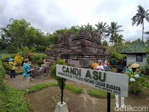 Mengunjungi Candi Asu, Destinasi Wisata Gratis di Magelang