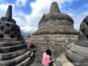 Masuki Musim Hujan Candi Borobudur Dibersihkan dari Rerumputan
