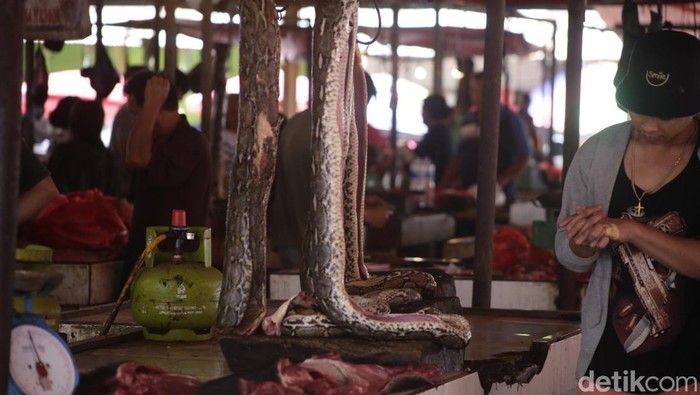 Daging ular dijual di pasar Tomohon