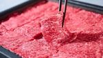 Cantik! Pahatan Gunung Fuji dan Bunga Sakura Ini Dibuat dari Wagyu Segar