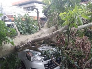 Angin Kencang Tumbangkan Pohon-Timpa Mobil di Bandara Juanda