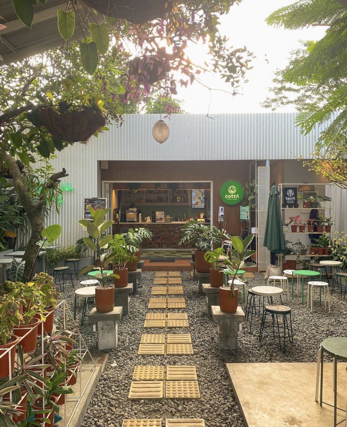 kopi