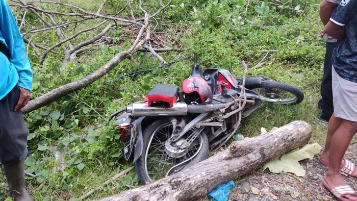 Lokasi pohon tumbang di Jalan Palir Kaliancir, Ngaliyan, Semarang, Jumat (7/10/2022).