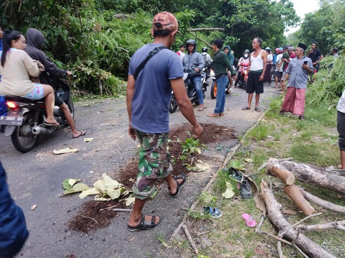 Lokasi pohon tumbang di Jalan Palir Kaliancir, Ngaliyan, Semarang, Jumat (7/10/2022).