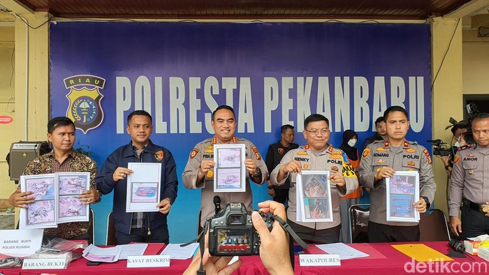 Polisi saat paparan kasus penelantaran kucing di Pekanbaru, (Raja/detikSumut)