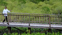 Presiden Joko Widodo meninjau kawasan mangrove Taman Hutan Raya (Tahura) Ngurah Rai, Denpasar, Bali, Kamis (6/10/2022).