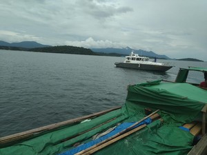 Bawa 3 Ton Kayu Ilegal, Polisi Tangkap Satu Kapal di Perairan Lingga