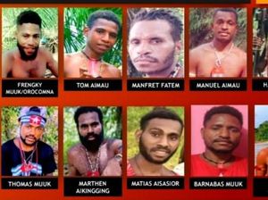 Tampang 12 Anggota KKB DPO Pembunuh 4 Pekerja Jalan Trans Papua