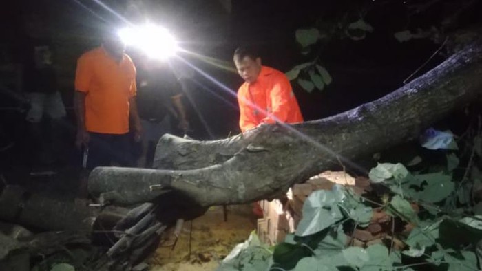 Evakuasi pohon tumbang di Jalan Posis-Bogor, Kecamatan Cawas, Klaten, Sabtu (8/10/2022).