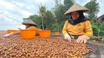 Aroma Kopi Ibun Sampai ke Negeri Sakura, 5 Ton Diekspor Tahun Ini!
