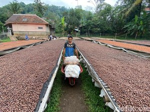 Perjalanan Kopi Wanoja, dari Tanah Sunda hingga Mancanegara