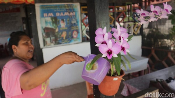 Lelemuku adalah bahasa Fordata untuk bunga anggrek larat (Dendrobium Phalaenopsis) yang merupakan tanaman endemik di Kepulauan Tanimbar dan dijadikan sebagai flora khas dari Provinsi Maluku. Lelemuku adalah bahasa Fordata untuk bunga anggrek larat (Dendrobium Phalaenopsis) yang merupakan tanaman endemik di Kepulauan Tanimbar dan dijadikan sebagai flora khas dari Provinsi Maluku.