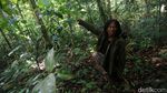Menjelajah Hutan Tanimbar, Melihat Burung Endemik Kakatua Goffin