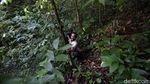 Menjelajah Hutan Tanimbar, Melihat Burung Endemik Kakatua Goffin
