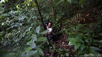 Jalan yang dilalui cukup terjal dan licin membuat kami sempat terjatuh.
