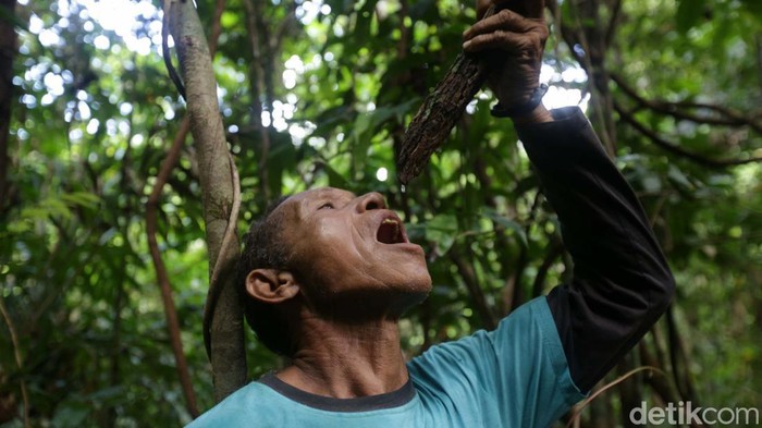 Menjelajah Hutan Tanimbar, Melihat Burung Endemik Kakatua Goffin Kakaktua Goffin adalah spesies kakatua asli dan endmik dari hutan kepulauan Tanimbar. Yuk kita selusuri jekanya di hutan Desa Lolurun, Kecamatan Wertamian, Tanimbar.