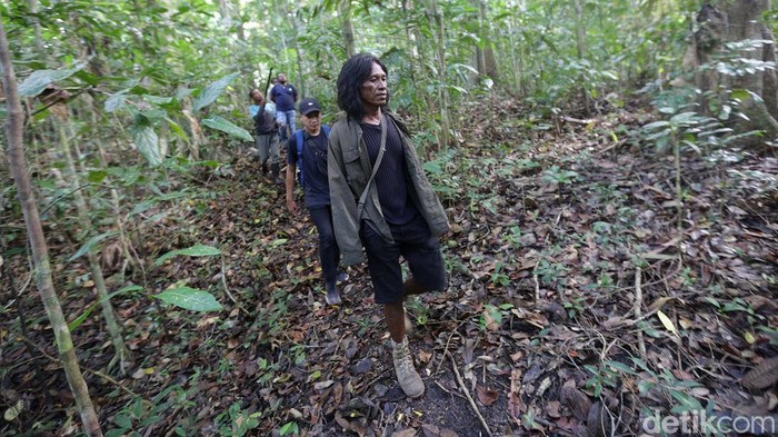 Kakaktua Goffin adalah spesies kakatua asli dan endmik dari hutan kepulauan Tanimbar. Yuk kita selusuri jekanya di hutan Desa Lolurun, Kecamatan Wertamian, Tanimbar.