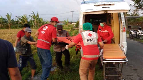 Pekerja pemotong padi ditemukan tewas di sawah sebelah selatan Pura Babadan, Jalan Pantai Lima, Banjar Pengembungan, Desa Pererenan, Mengwi, Badung, Sabtu (8/10/2022). (Dok. Polres Badung)