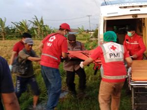 Sempat Dikerok, Buruh Potong Padi Tewas di Sawah Pererenan Badung